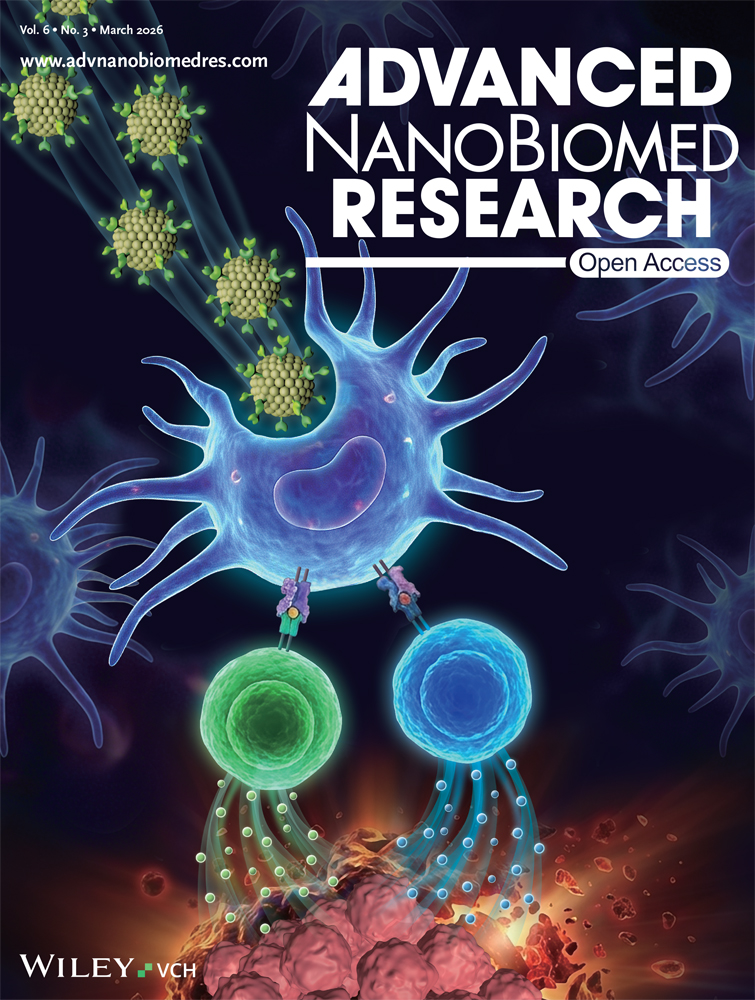 NUAK2阻害は、膵臓腫瘍微小環境の三次元線維化モデルにおいて、高分子薬物送達を促進する